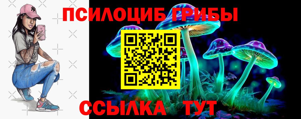 Псилоцибиновые грибы Psilocybe  Псилоцибиновые грибы MAGIC MUSHROOMS  Полысаево  Вход с VPN 